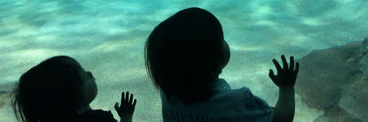 ayacho18's profile banner image