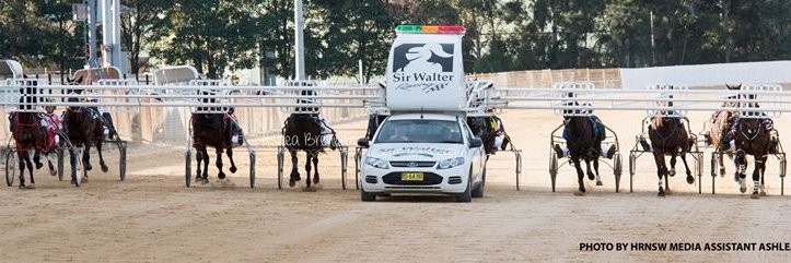 Ncle Harness Racing banner