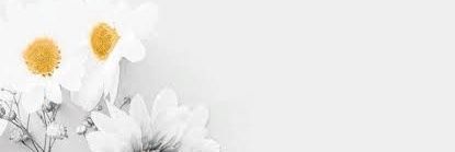 aritonang291's profile banner image