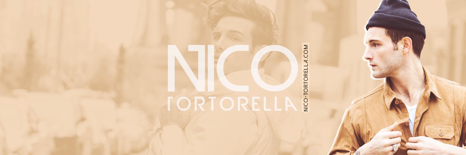 ntortorellacom's profile banner image