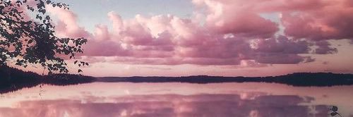 AdeleBuick's profile banner image
