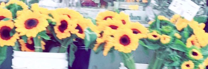 erios2_'s profile banner image