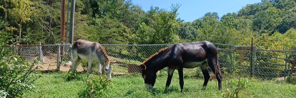 GG15890 Profile Banner