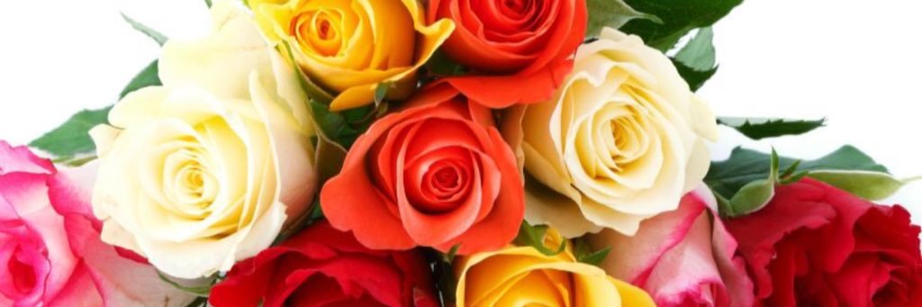 rosalunasanchez's profile banner image
