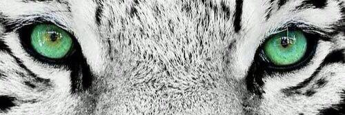 ymnxch's profile banner image