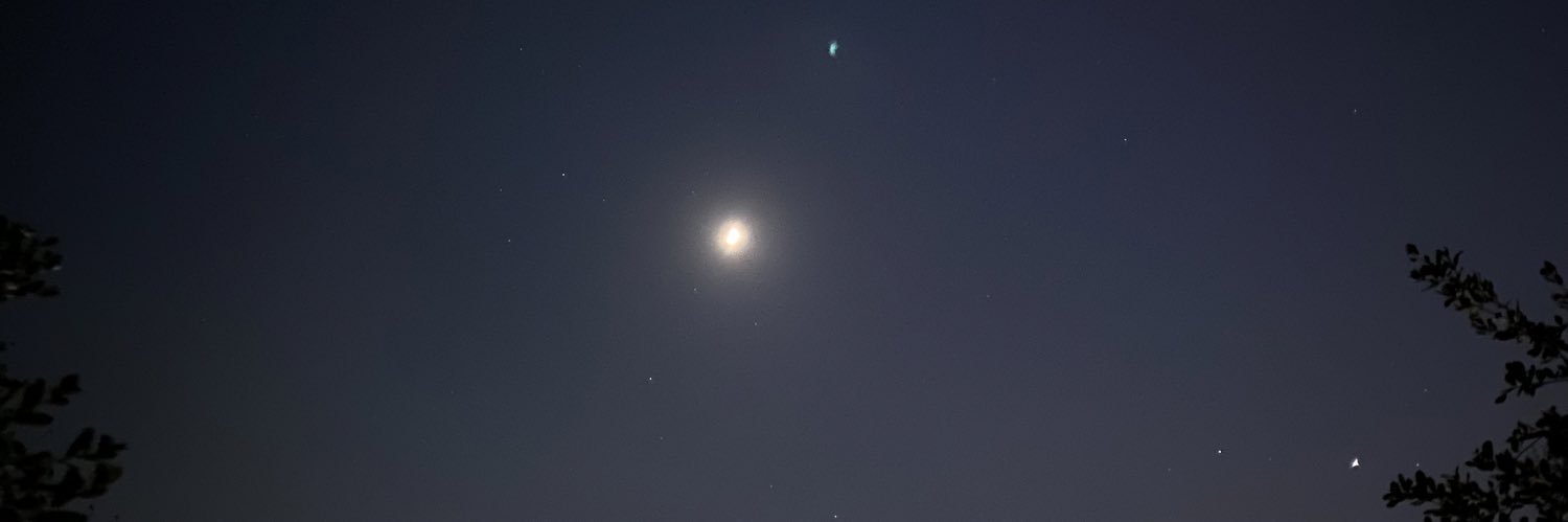 Lally (: 💛 banner