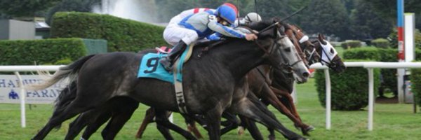 RADominguez76 Profile Banner