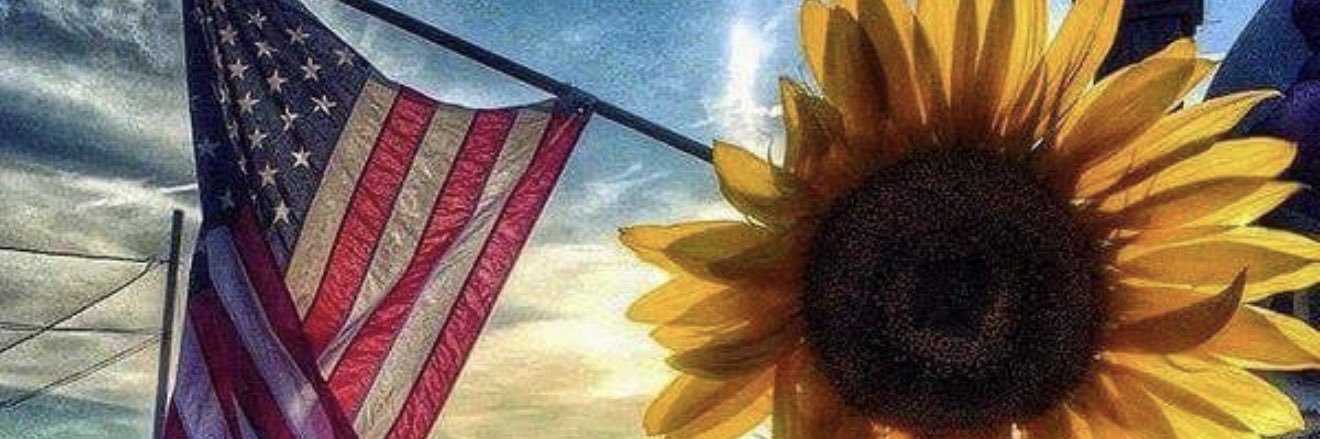 cscmcks's profile banner image