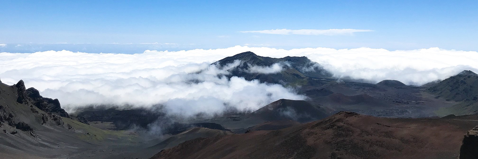 Tao Yu ✈️ NeurIPS 2025 banner