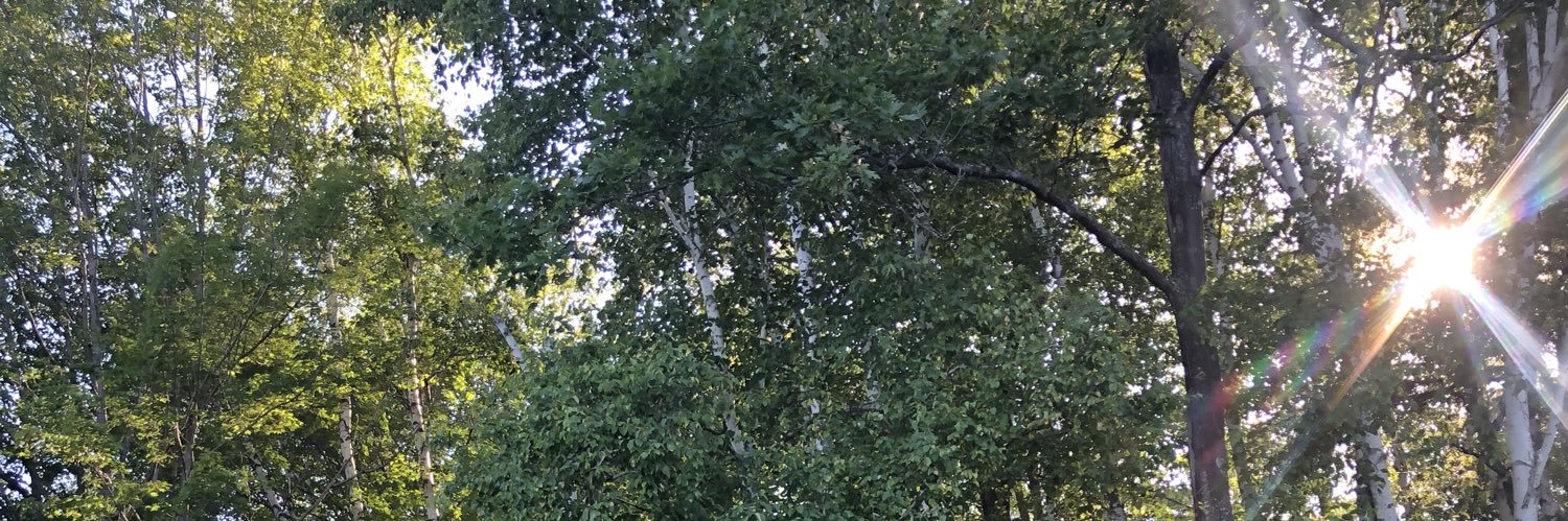 hlealavarn's profile banner image