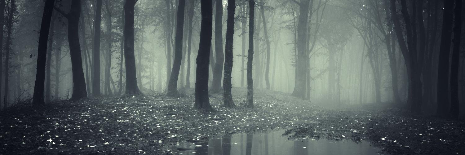 Jessica_Eckle's profile banner image