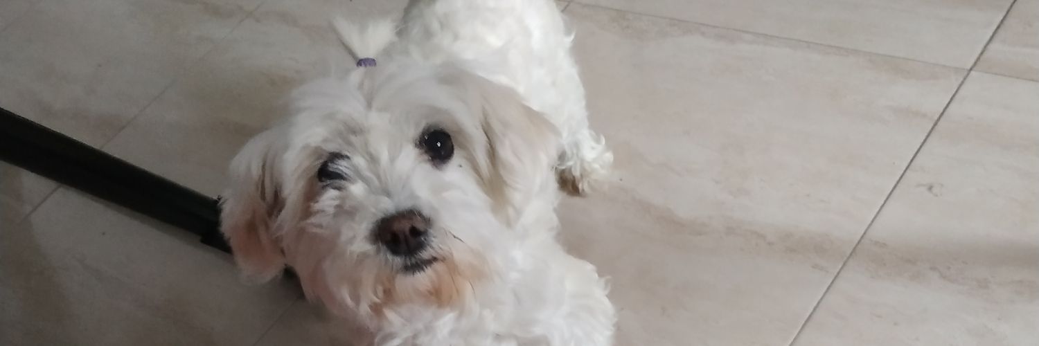 DanielParada98's profile banner image