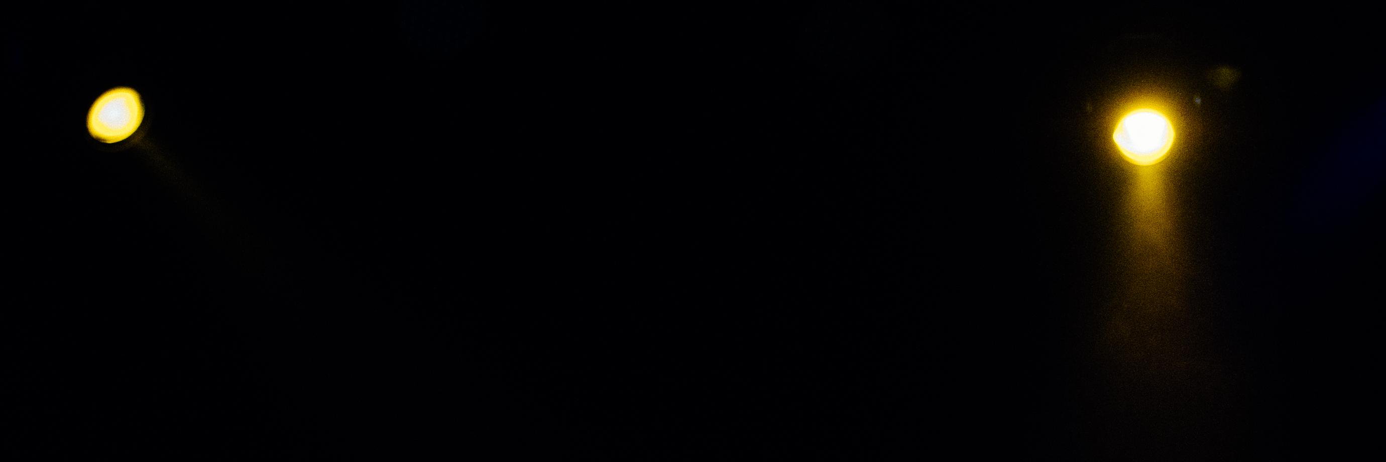 soundoffightingdogs banner