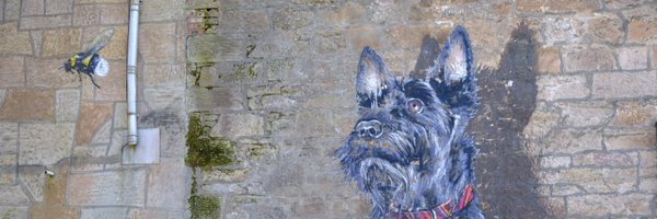 patchdennizen Profile Banner