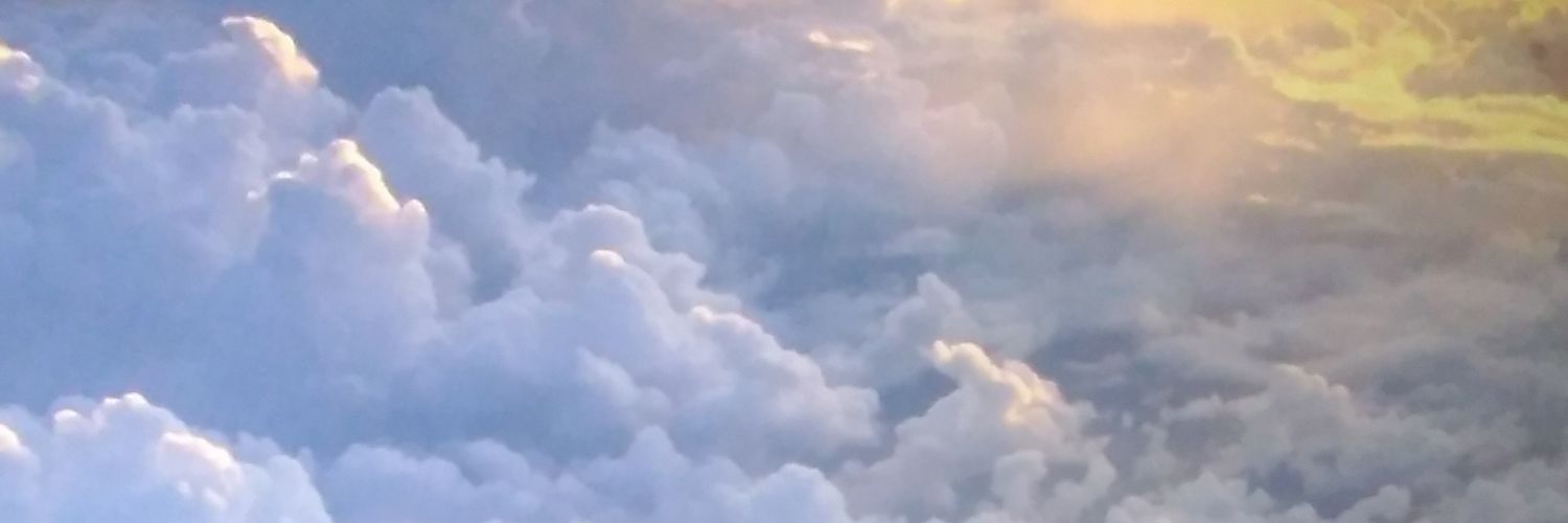 entosamoe's profile banner image
