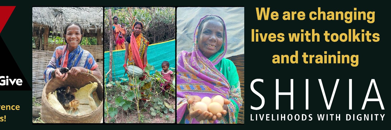 Shiviatweets's profile banner image