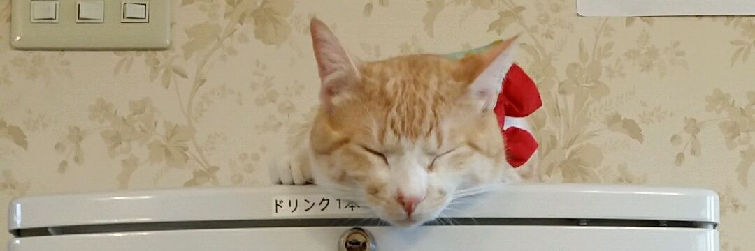 chanfu04's profile banner image