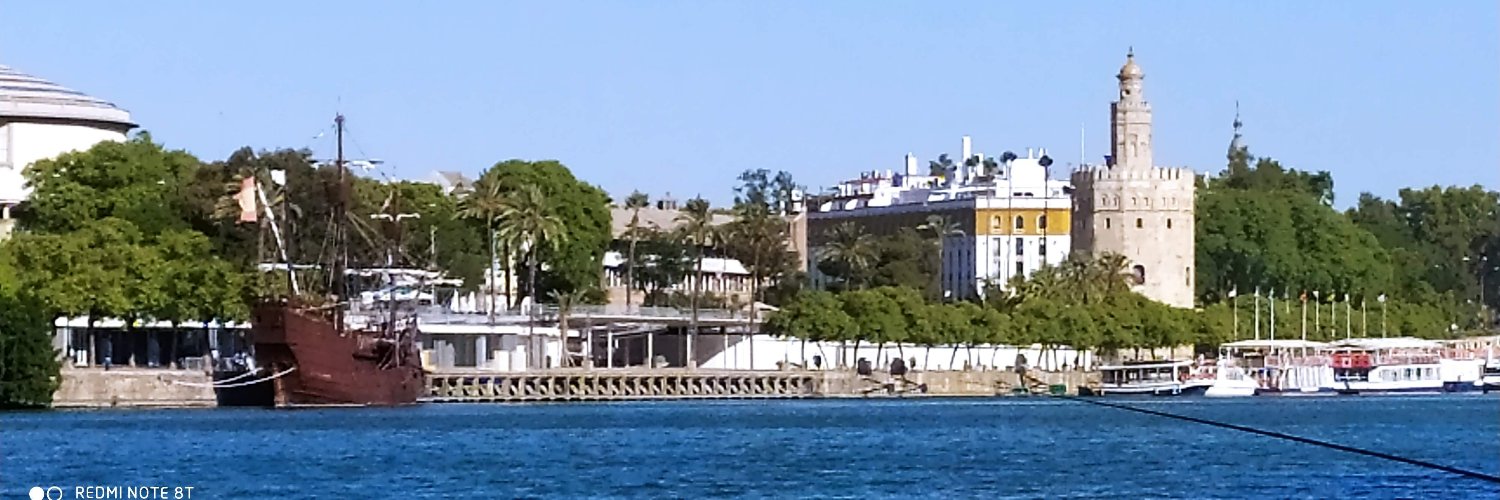 Rocío Llorca Granja banner