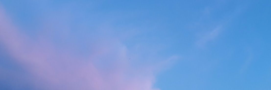 ZuzuSB's profile banner image
