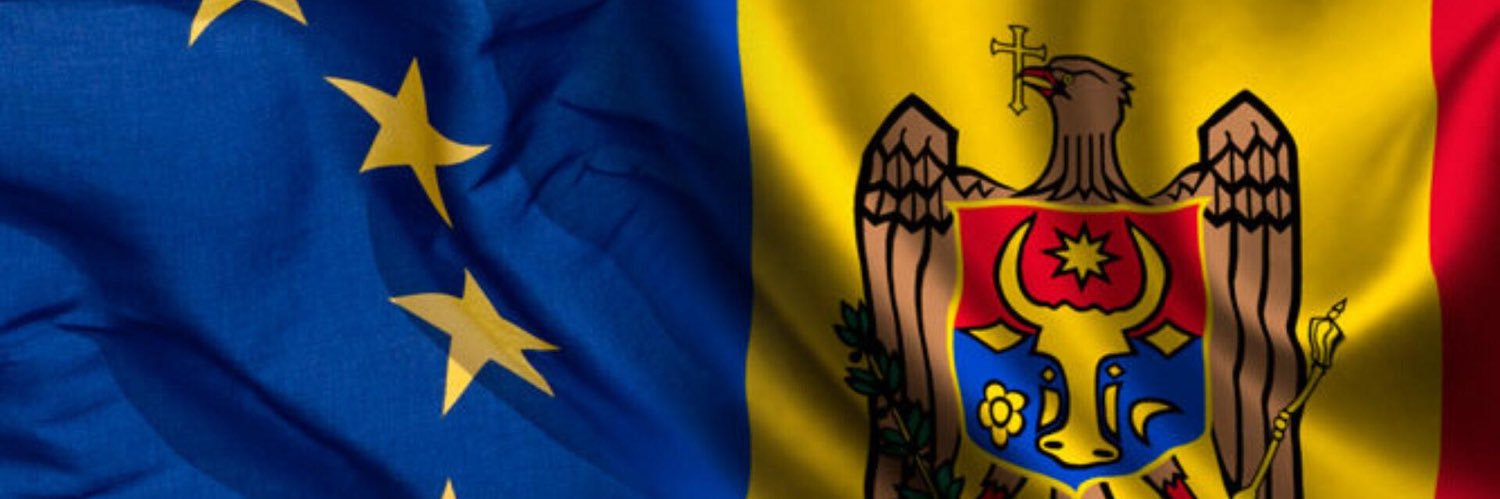 Daniela Morari banner