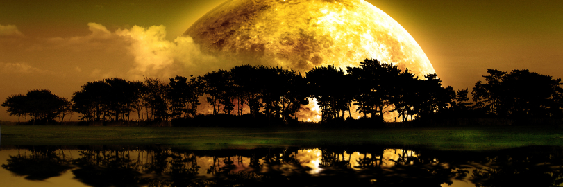 UntamedLady's profile banner image