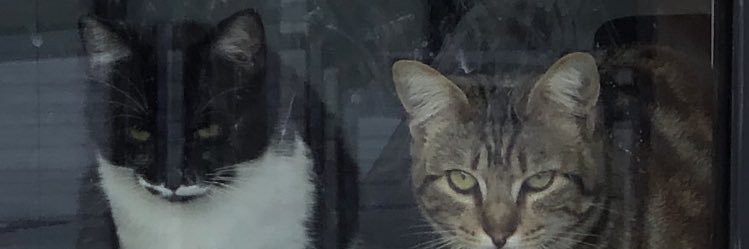 vickycolombs's profile banner image