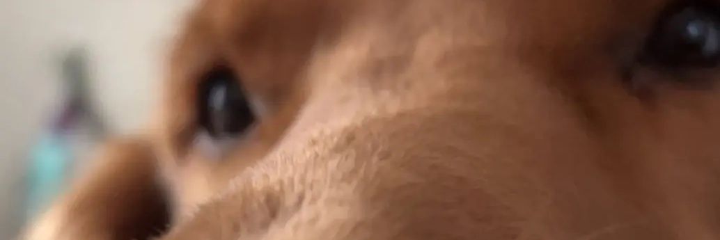 Lillaaaaaay's profile banner image