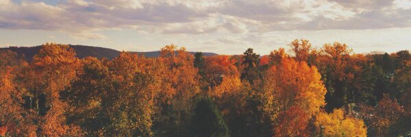 hchorey Profile Banner