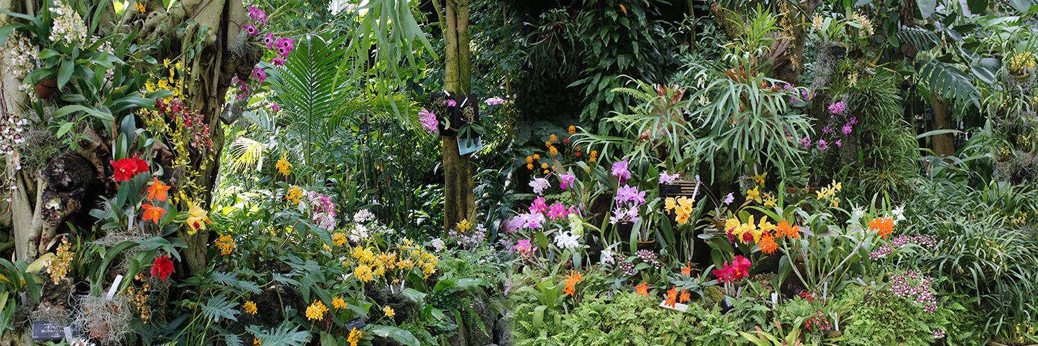 咲くやこの花館 banner