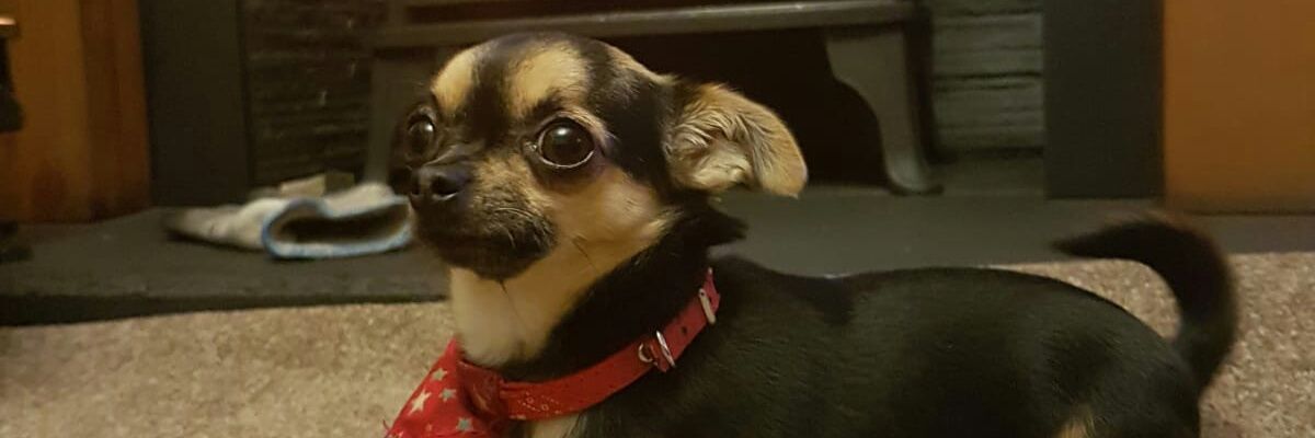 simonlawery's profile banner image