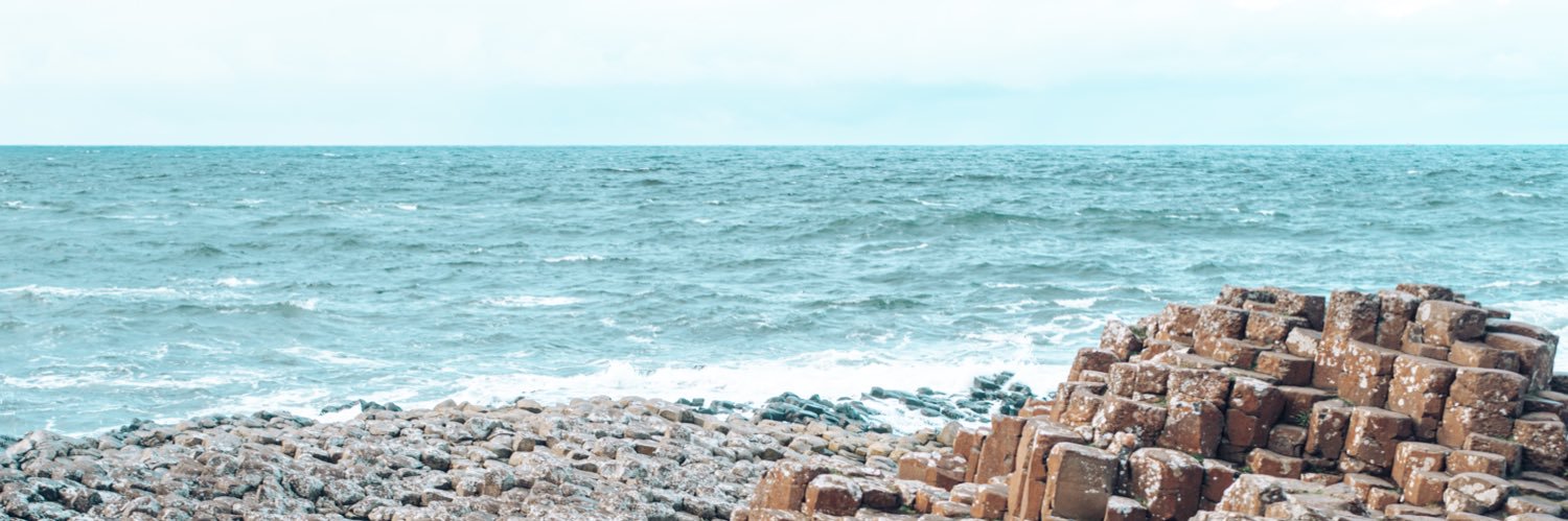 Lisa🧣 banner