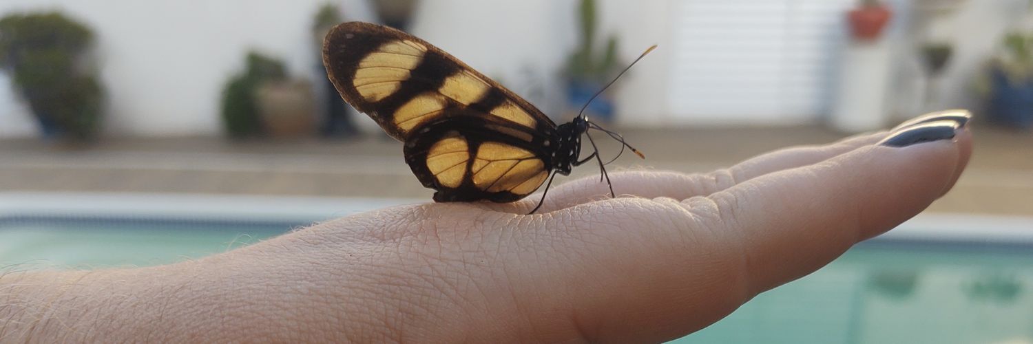 priscilagrandhi's profile banner image