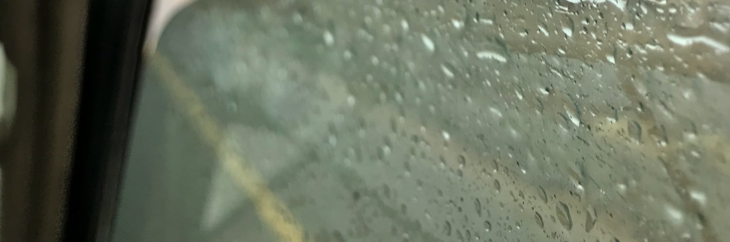 🕊 banner