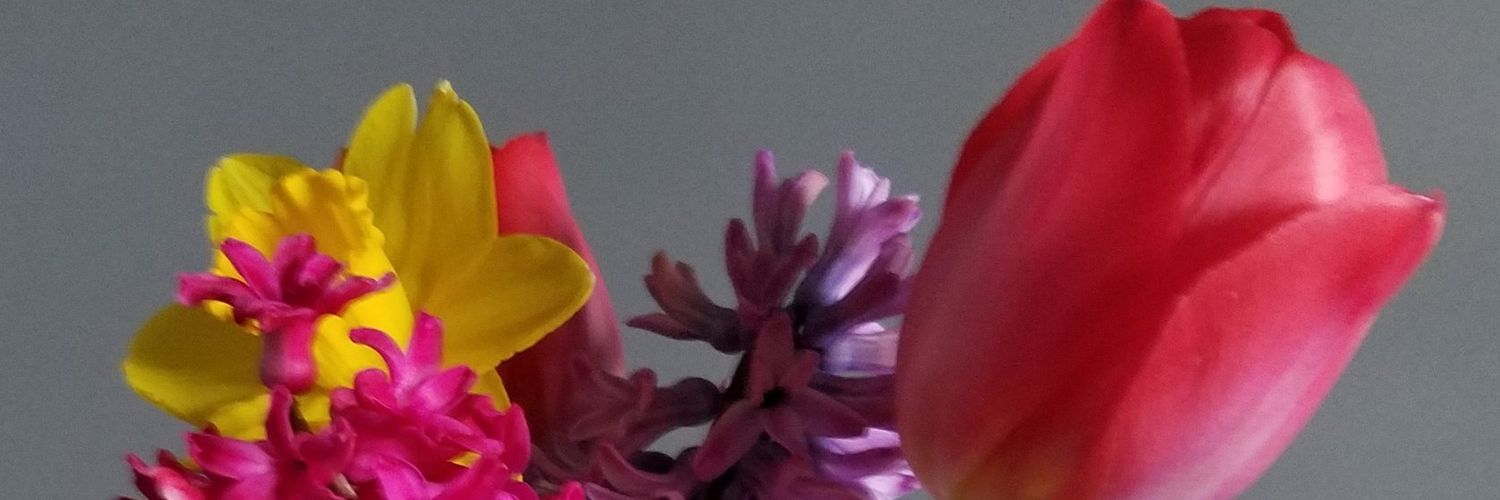 BusterTiberiusB's profile banner image