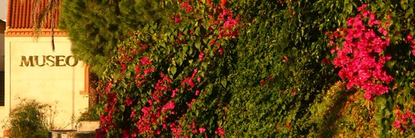 MuseoAlcala Profile Banner