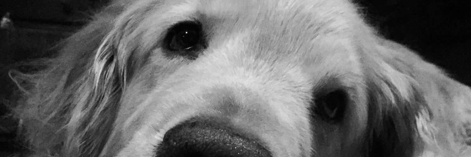 Brendan_Murph11's profile banner image
