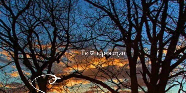 anaela7's profile banner image