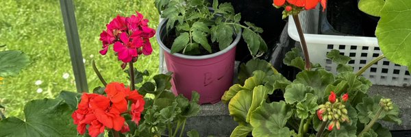 Andersen11Kurt Profile Banner