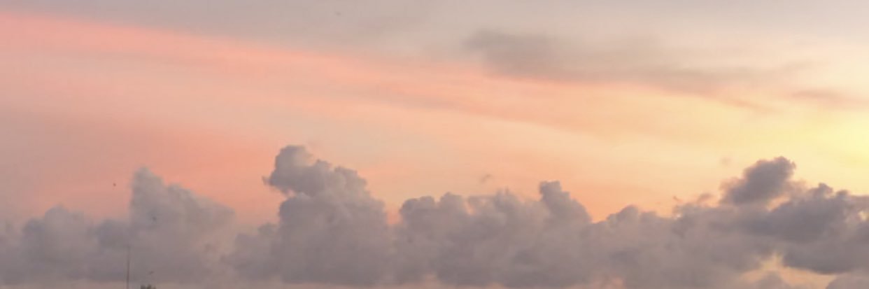 amesilvaa's profile banner image