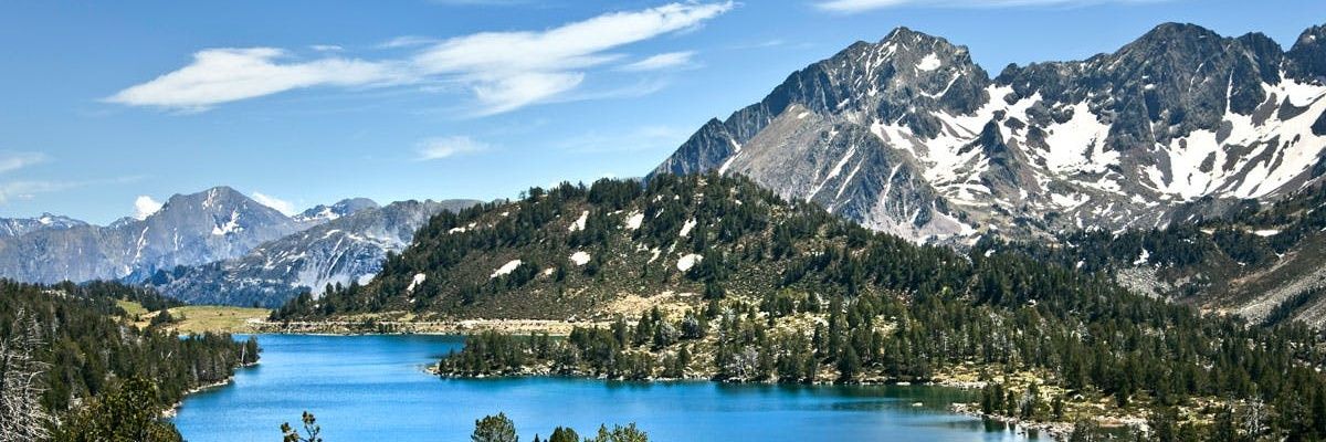 Nathan Tumbarello banner