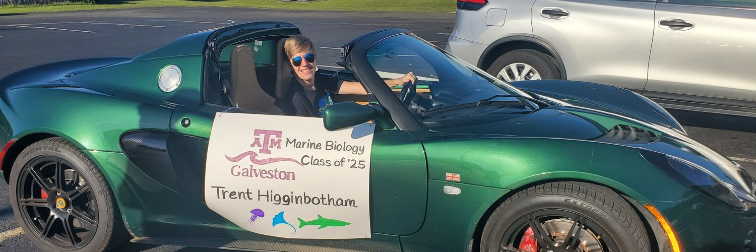 Tabbatha Higginbotham banner