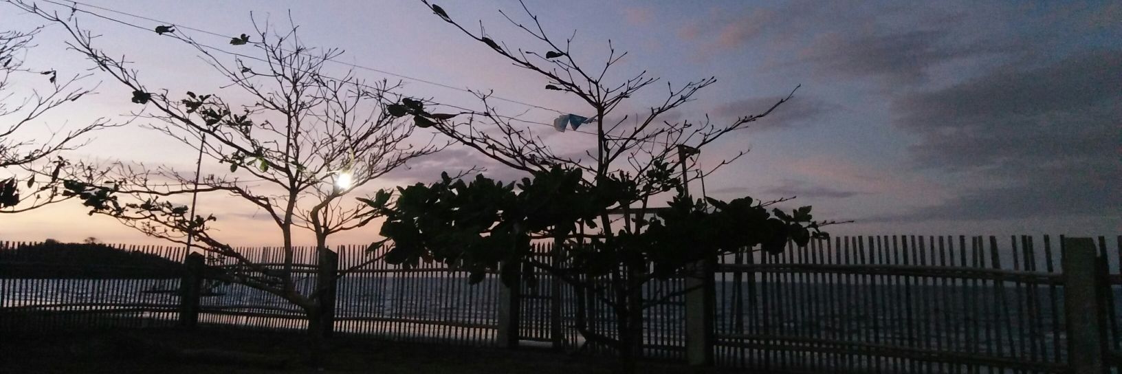 crazyliempou's profile banner image