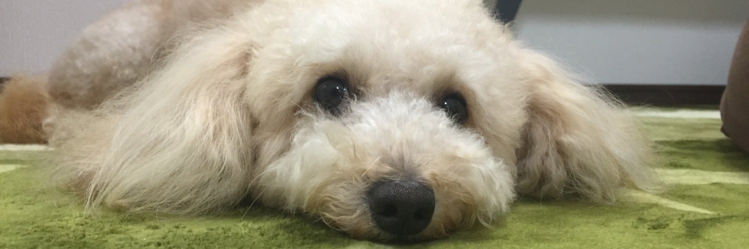YunYu310700's profile banner image