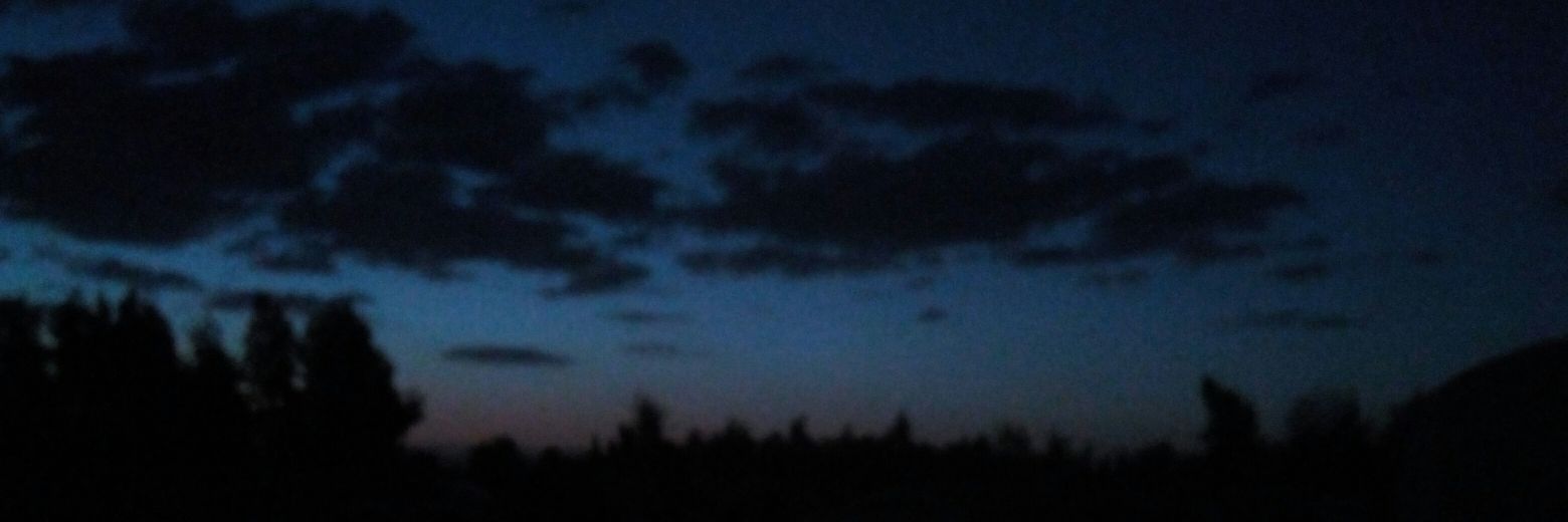 B0B_APBT's profile banner image