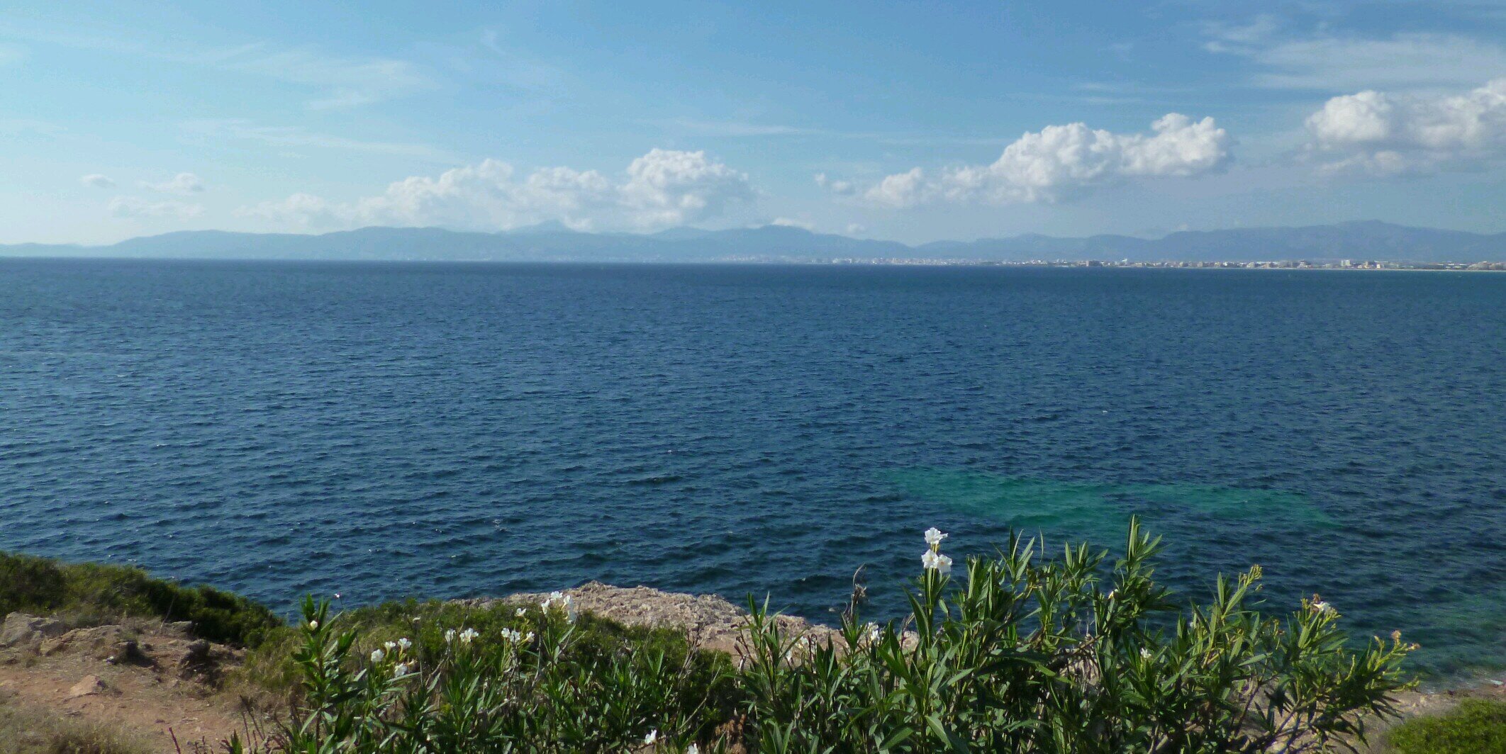 AudreyPaps's profile banner image