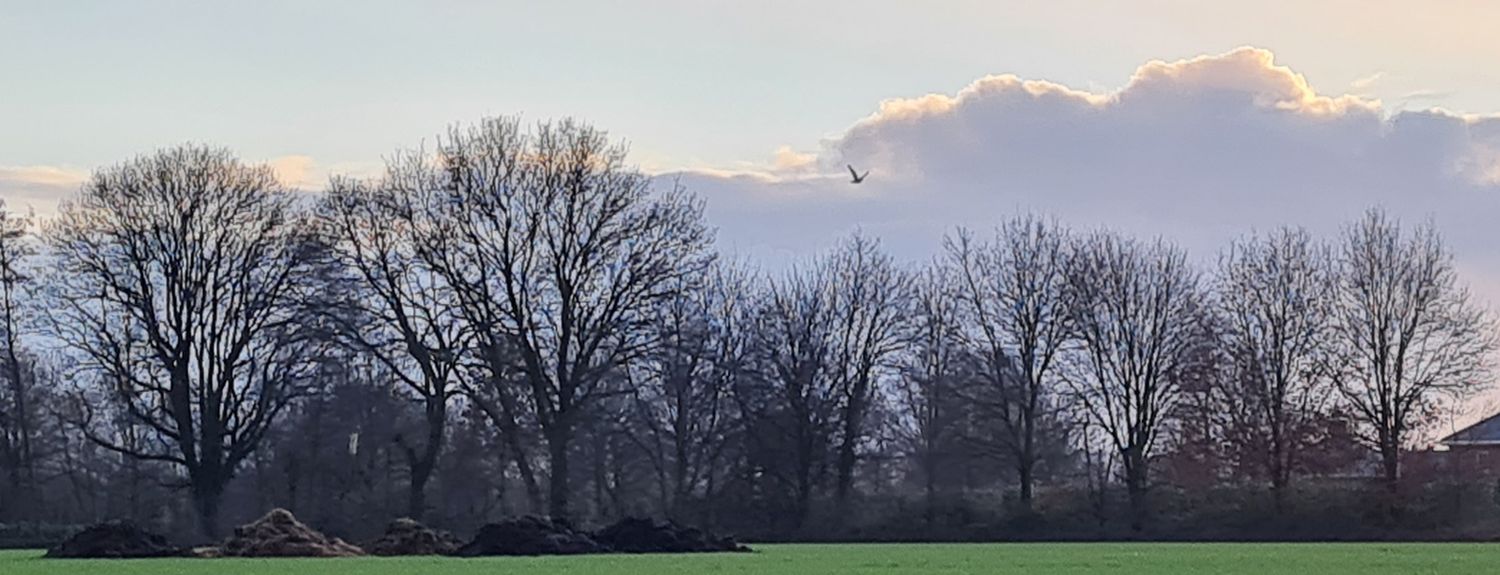 Ltogeldersevallei banner