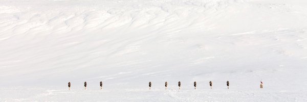 cc_canadien Profile Banner