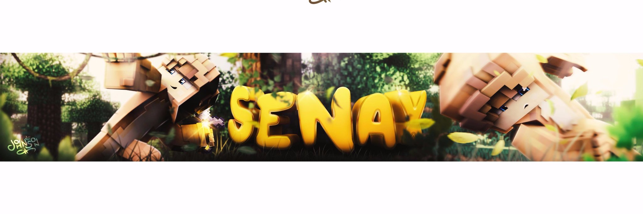 Senax banner