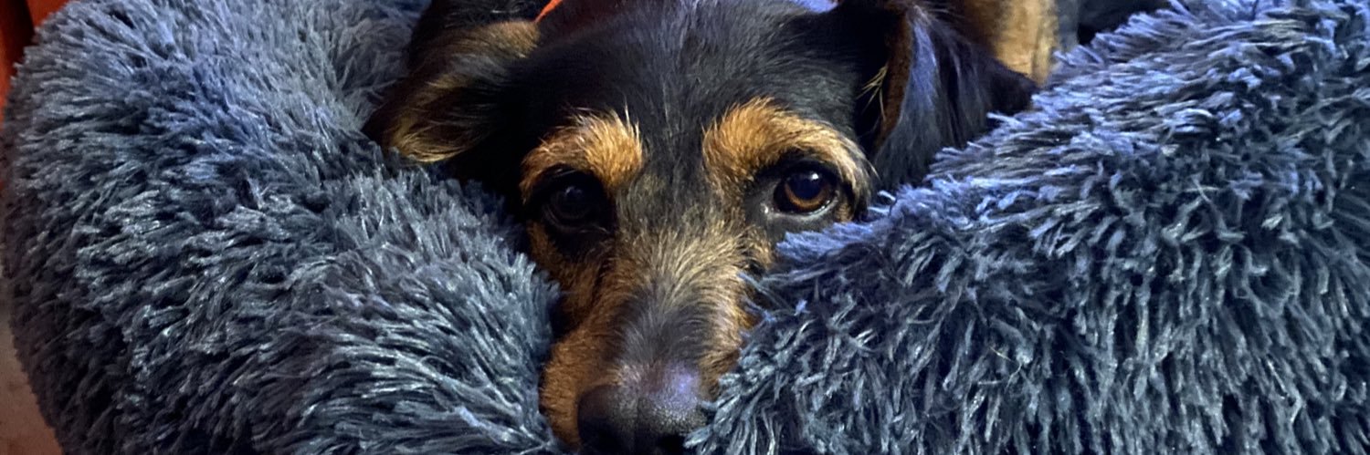 meGillyDee's profile banner image