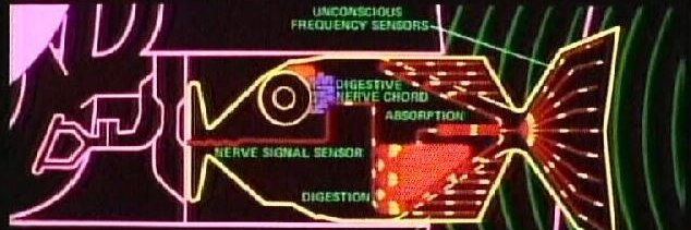 Stockbridge Truslow banner